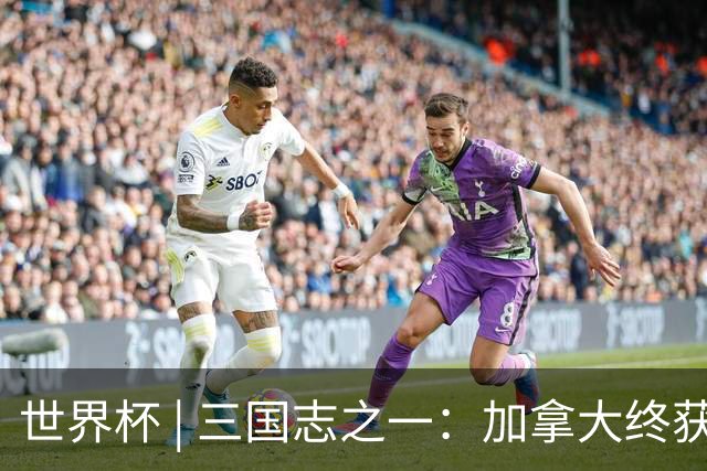 世界杯 | 三国志之一：加拿大终获世界杯首分，突破从何而来？